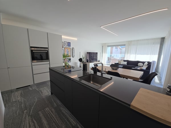 MODERNO 1.5 LOCALI IDEALE ANCHE COME B&B A BELLINZONA 1