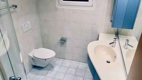 AFFITTASI 1.5 LOC. CON GIARDINO VISTA LAGO A BOSCO LUGANESE 7