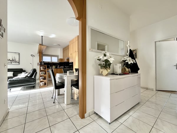 AFFITTASI AMPIO ATTICO 1.5 LOCALI CON TERRAZZO A BELLINZONA 1