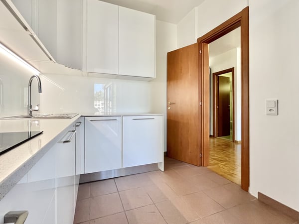 AFFITTASI ATTICO 1.5 IN RESIDENZA CON PISCINA A LUGANO 5