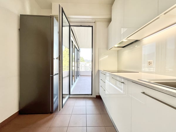 AFFITTASI ATTICO 1.5 IN RESIDENZA CON PISCINA A LUGANO 6