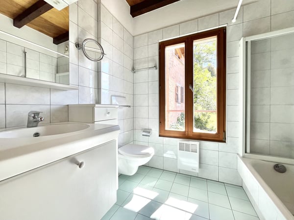 AFFITTASI CASA TICINESE DI 1.5 LOCALI CON CORTE A BARBENGO 9