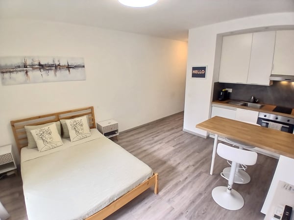 MONOLOCALE RISTRUTTURATO IN ZONA CENTRALE A LUGANO-VIGANELLO 2