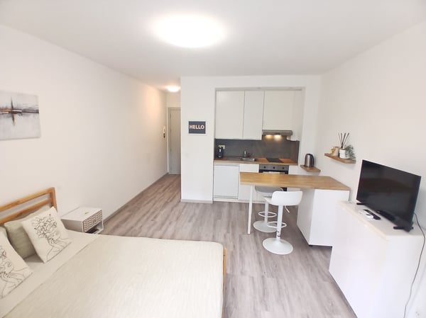 MONOLOCALE RISTRUTTURATO IN ZONA CENTRALE A LUGANO-VIGANELLO 1