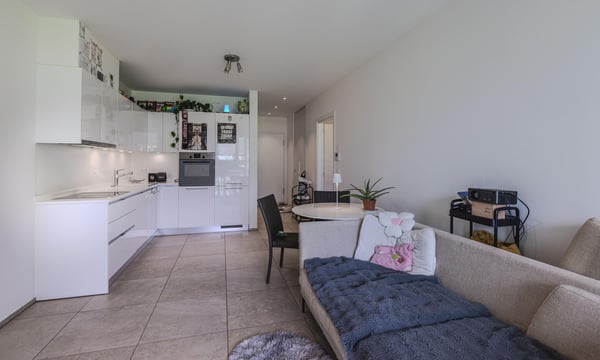 SPLENDIDO 1.5 LOCALI DI RECENTE COSTRUZIONE A BELLINZONA 3