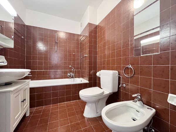 AFFITTASI LUMINOSO 1.5 LOC. CON TERRAZZE A LUGANO VIGANELLO 6