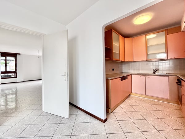 AFFITTASI LUMINOSO 1.5 LOC. CON TERRAZZE A LUGANO VIGANELLO 3