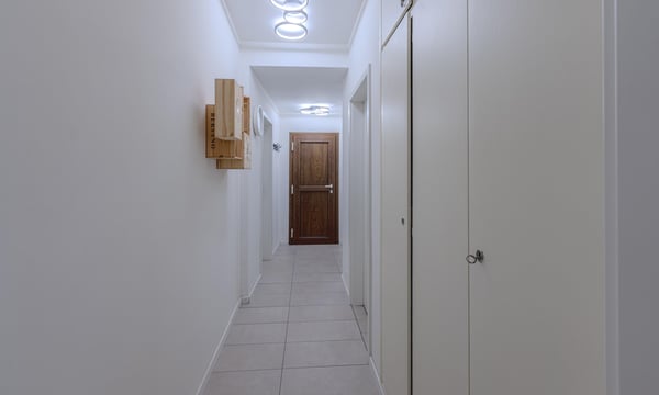 VERO AFFARE - 3.5 LOCALI RISTRUTTURATO A LUGANO FIGINO 5