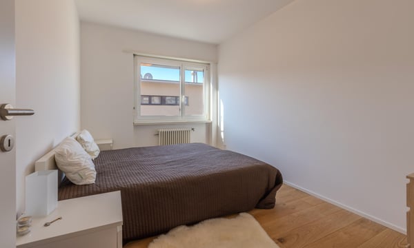 LUMINOSO APPARTAMENTO 1.5 LOCALI CON TERRAZZA A LUGANO 4