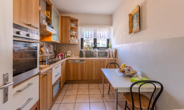 SPLENDIDO 1.5 LOCALI CON 2 GRANDI BALCONI A BELLINZONA 4