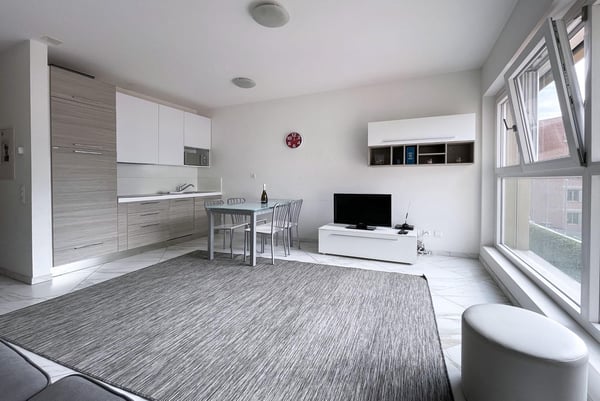 MODERNO 1.5 LOCALI ARREDATO CON BALCONE IN CENTRO A LUGANO 1