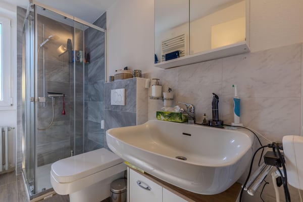 SPAZIOSA CASA 2 LOC. CON TRE UNITÀ A REDDITO A LUGANO BOGNO 8