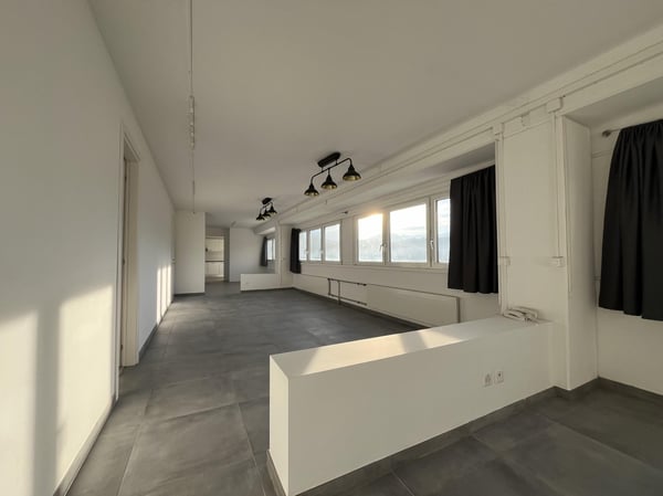 AFFITTASI LOCALE COMMERCIALE AD USO UFFICIO-ATELIER A BEDANO 3