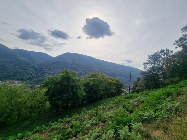 AMPIO TERRENO EDIFICABILE R2 DI 2567 MQ + BOSCO A MONTEGGIO 3