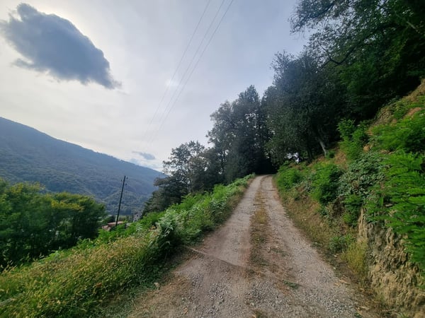 AMPIO TERRENO EDIFICABILE R2 DI 2567 MQ + BOSCO A MONTEGGIO 4