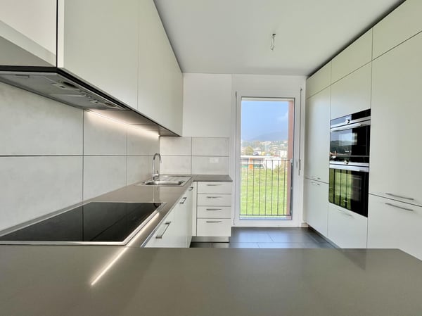 AFFITTASI STUPENDO 1.5 LOCALI DUPLEX CON TERRAZZA A STABIO 2