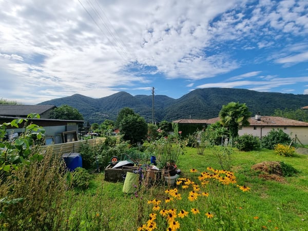 TERRENO EDIFICABILE CON PROGETTO PER UNA CASA A MONTEGGIO 2