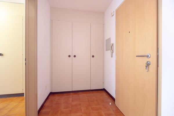 CONFORTEVOLE APPARTAMENTO 1.5 LOCALI NEL VERDE A MENDRISIO 7