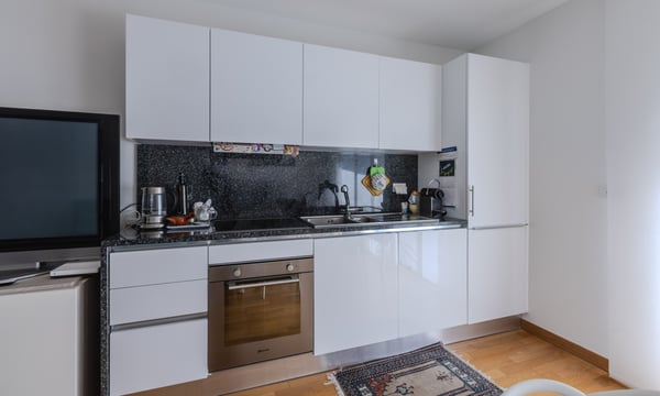 LUMINOSO ED ELEGANTE 1.5 LOCALI CON TERRAZZA A MAGLIASO 3