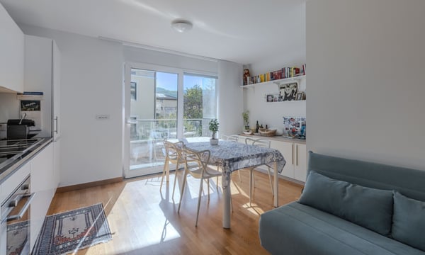 LUMINOSO ED ELEGANTE 1.5 LOCALI CON TERRAZZA A MAGLIASO 5