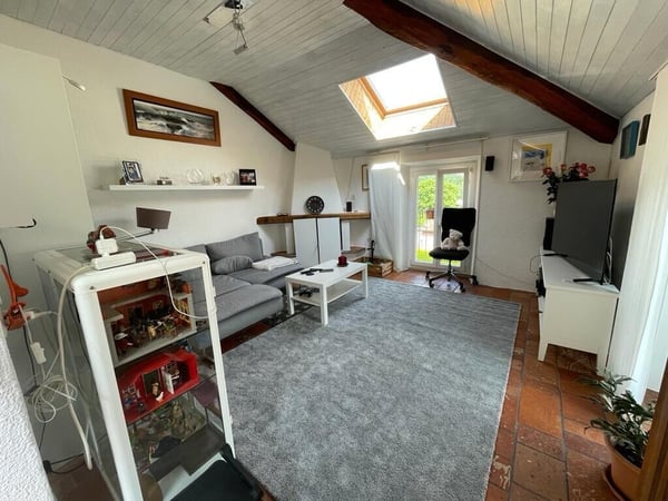 CARATTERISTICO 1.5 LOCALI ALL'ULTIMO PIANO A BEDANO 2