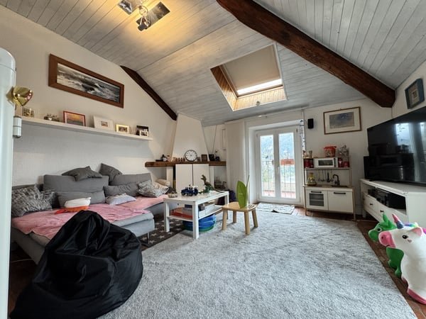 CARATTERISTICO 1.5 LOCALI ALL'ULTIMO PIANO A BEDANO 3