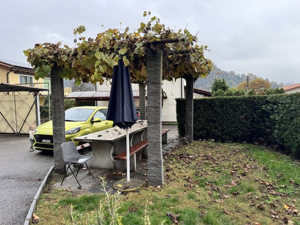 CARATTERISTICO 1.5 LOCALI ALL'ULTIMO PIANO A BEDANO 10