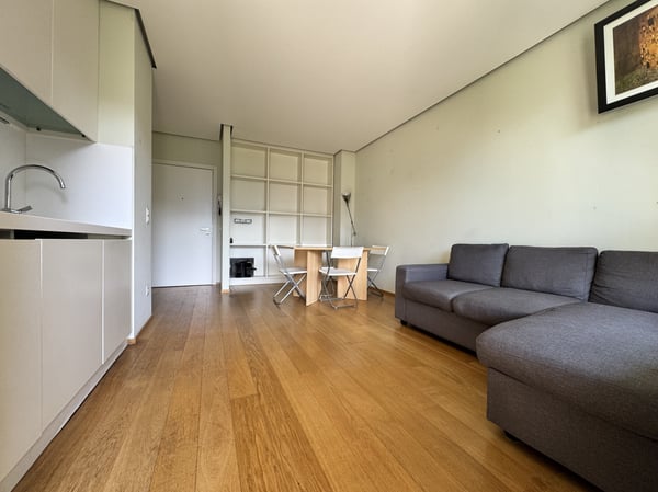 AFFITTASI 1.5 CON GIARDINO PISCINA E VISTA LAGO A BISSONE 4