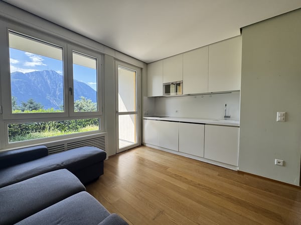 AFFITTASI 1.5 CON GIARDINO PISCINA E VISTA LAGO A BISSONE 1