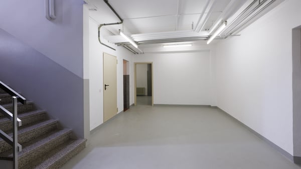 GRANDE SPAZIO ARTIGIANALE/COMMERCIALE 7.5 LOCALI A BALERNA 8