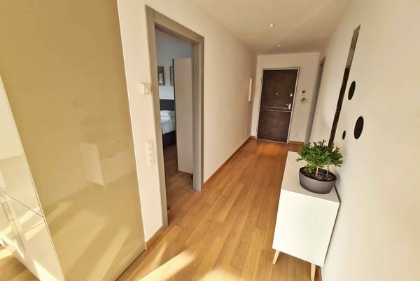 BELLISSIMO 2.5 LOCALI IN ZONA CENTRALE E SERVITA A MASSAGNO 4