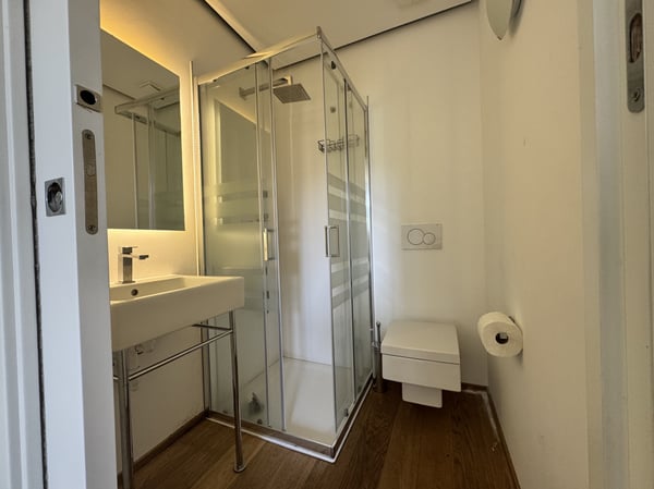 AFFITTASI 2.5 CON GIARDINO PISCINA E VISTA LAGO A BISSONE 5