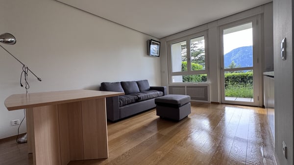 AFFITTASI 2.5 CON GIARDINO PISCINA E VISTA LAGO A BISSONE 10