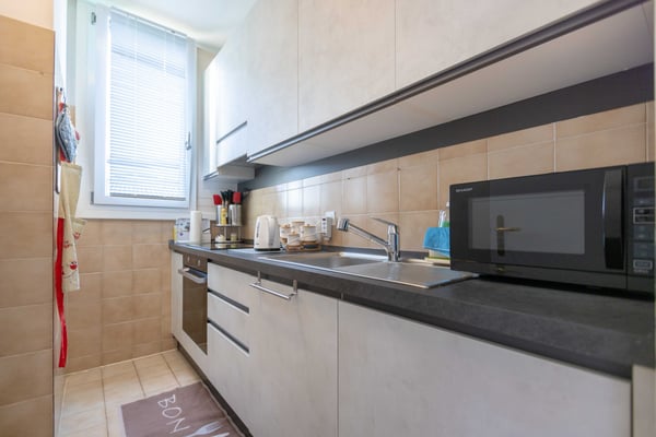 AMPIO 3.5 LOCALI CON TERRAZZA IN ZONA SERVITA A PREGASSONA 4