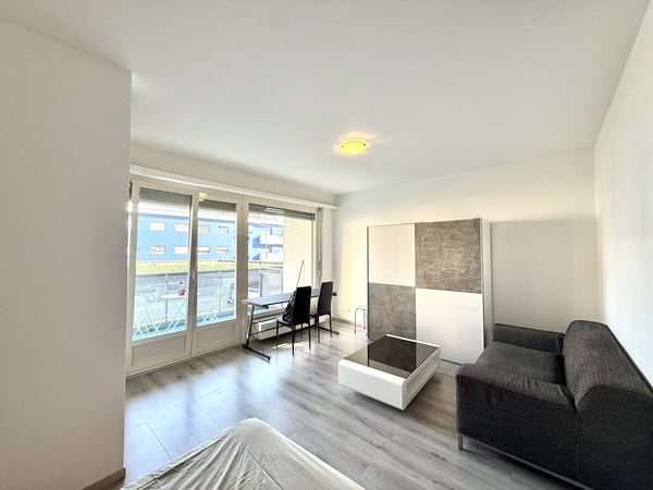 OTTIMO INVESTIMENTO A DUE PASSI DAL CENTRO DI LUGANO 2