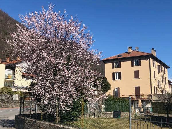 CARATTERISTICO 4.5 LOCALI ALL'ULTIMO PIANO A BEDANO 9