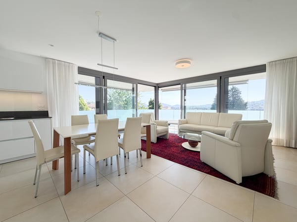 STUPENDO 4.5 LOCALI CON TERRAZZA PANORAMICA A MENDRISIO 3