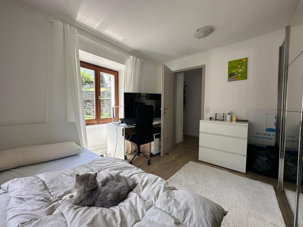 BELLA CASA 4.5 DI CHARME CON GIARDINO E PISCINA A ROVEREDO 6