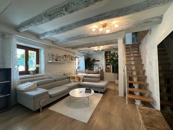 BELLA CASA 4.5 DI CHARME CON GIARDINO E PISCINA A ROVEREDO 1