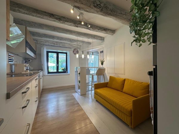 BELLA CASA 4.5 DI CHARME CON GIARDINO E PISCINA A ROVEREDO 5