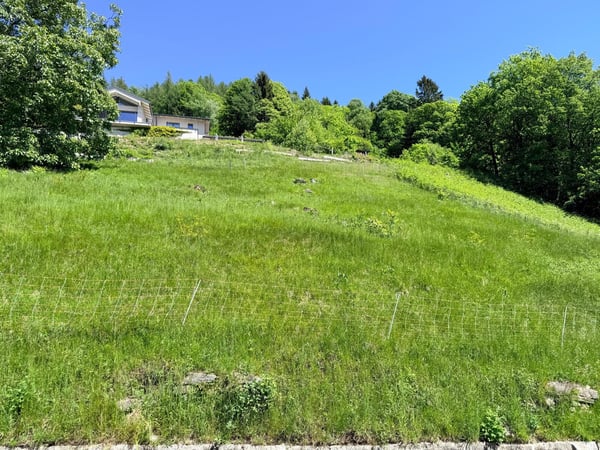 TERRENO EDIFICABILE DI 1237 MQ CON VISTA PANORAMICA - ARANNO 1