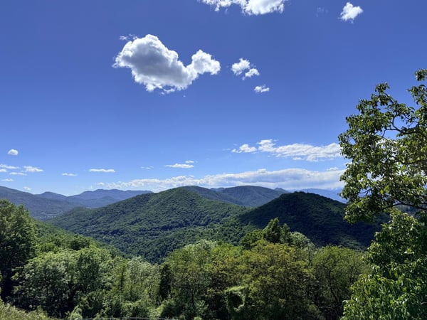 TERRENO EDIFICABILE DI 1237 MQ CON VISTA PANORAMICA - ARANNO 4