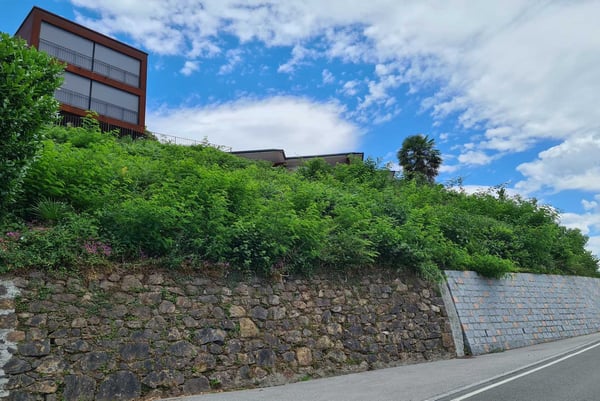 TERRENO CON VISTA LAGO E PROGETTO PER UNA VILLA A NEGGIO 5