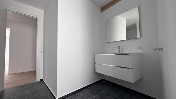 MODERNO ED AMPIO 3.5 LOCALI DI CHARME A MENDRISIO CENTRO 5