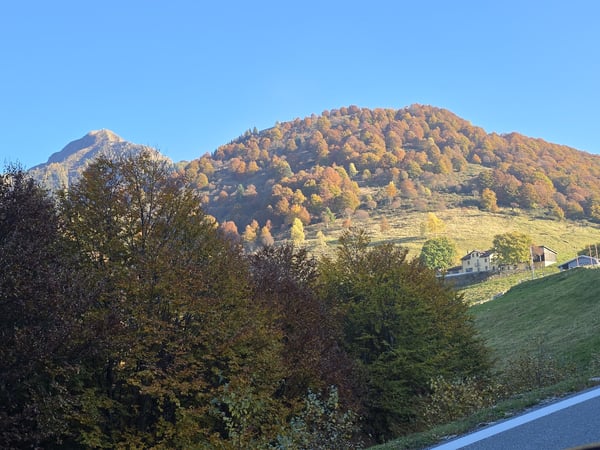 OCCASIONE - CARATTERISTICO RUSTICO 3.5 LOCALI NEL LOCARNESE 10