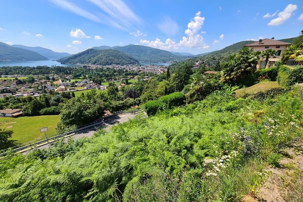 TERRENO CON VISTA LAGO E PROGETTO PER UNA VILLA A NEGGIO 4