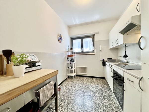AMPIO 4.5 LOCALI CON DUE TERRAZZE A BELLINZONA CENTRO 6