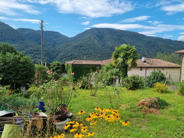 SPLENDIDO TERRENO EDIFICABILE CON PROGETTO A MONTEGGIO 2