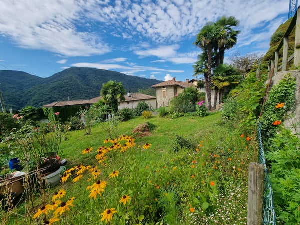 SPLENDIDO TERRENO EDIFICABILE CON PROGETTO A MONTEGGIO 1