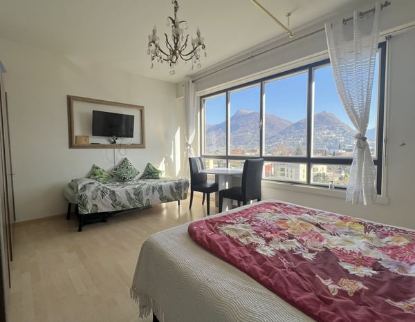 AFFITTASI ELEGANTE 1.5 LOCALI CON VISTA APERTA A LUGANO 2